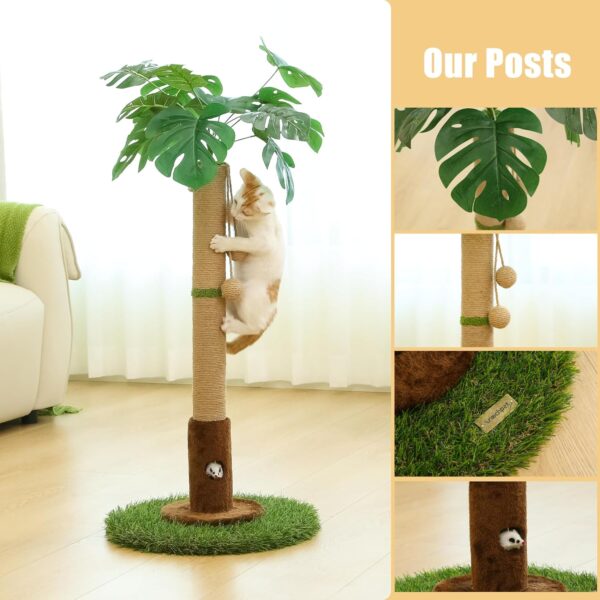 Cat Scratching Post for Indoor Cats and Kitten - 35.43" Tall Cat Scratching Post with Sisal Rope,Palm Tree Cat Scratch Post with Hanging Ball - Image 7