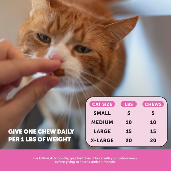 Cat Multivitamin Crunchy & Creamy Chews - Cat Treats for Health + Immune, Joint Support, Skin & Coat, & Digestion - Vitamins with Omega 3s, Lysine & Probiotics (30 Day Supply) - Image 8