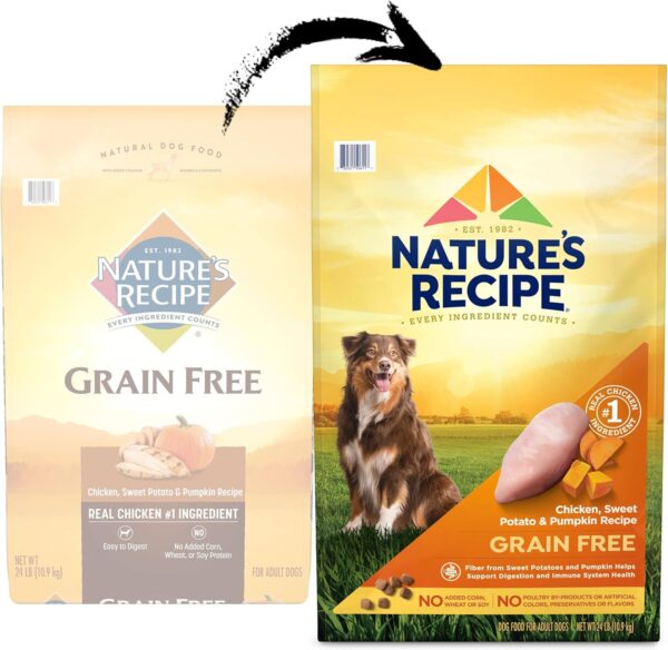 Nature’s Recipe Grain Free Chicken, Sweet Potato & Pumpkin Recipe Dry Dog Food, 24 lb. Bag - Image 2