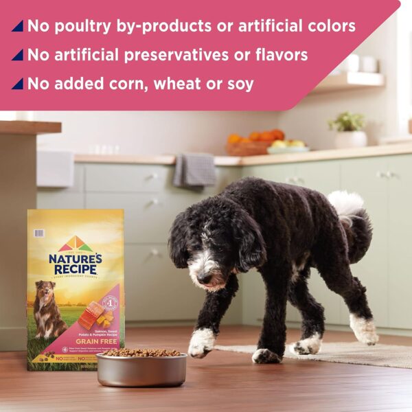 Nature’s Recipe Grain Free Salmon, Sweet Potato & Pumpkin Recipe Dry Dog Food, 24 lb. Bag - Image 5