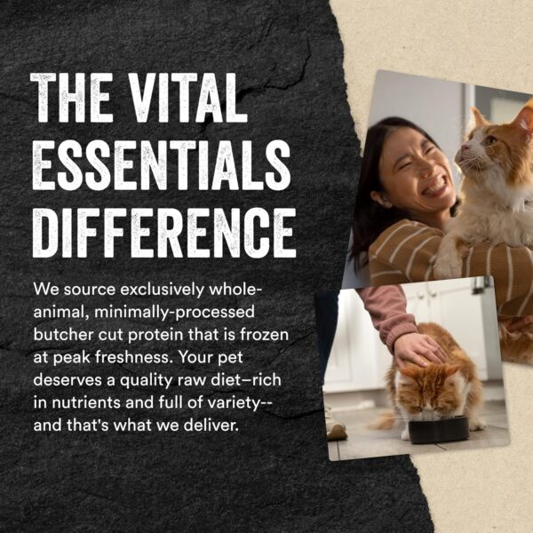 Vital Essentials Minnows Cat Treats, 0.5 oz | Freeze-Dried Raw | Single Ingredient | Grain Free, Gluten Free, Filler Free - Image 6