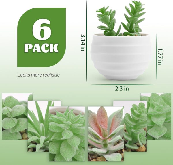 Der Rose Set of 6 Succulents Plants Artificial in Pots Small Fake Plants for Bedroom Aesthetic Living Room Office Shelf Bathroom Decor - Image 2