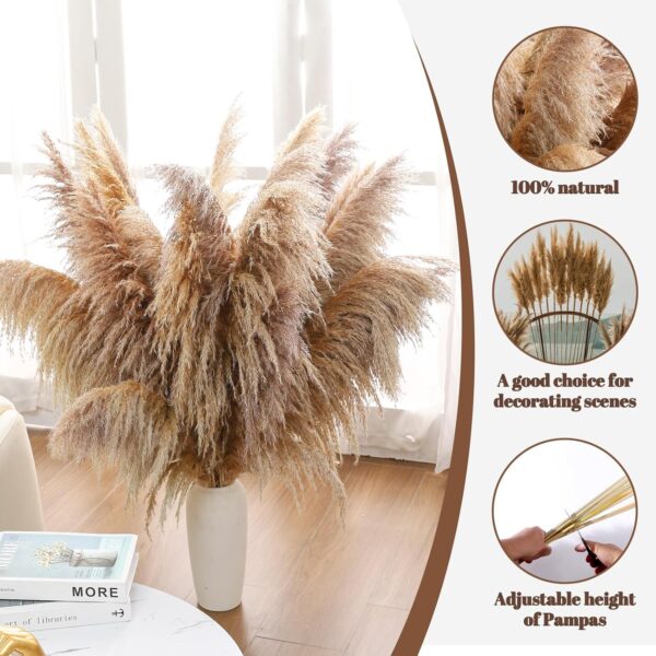 40" inch 11 Stems Natural Pampas Grass Tall Decor,Pompas Grass,Large Brown Tall Pampas Grass for Floor Vase,Wedding Decorations,Party,Boho Home Decor,and Creating a Boho Ambiance - Image 5