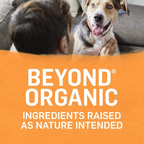 Purina Beyond Organic Wet Dog Food, Organic Chicken & Carrot Adult Recipe Ground Entrée with Broth - (Pack of 12) 13 oz. Cans - Image 4