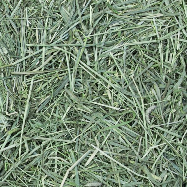 Eaton Pet and Pasture Naturally Grown, Premium, 1st Cut Blend, Western Timothy Hay Orchard Blend, Small Animal Food, Sustainable, Eco-Friendly, Farmer-Owned, 6LB-Box. - Image 6