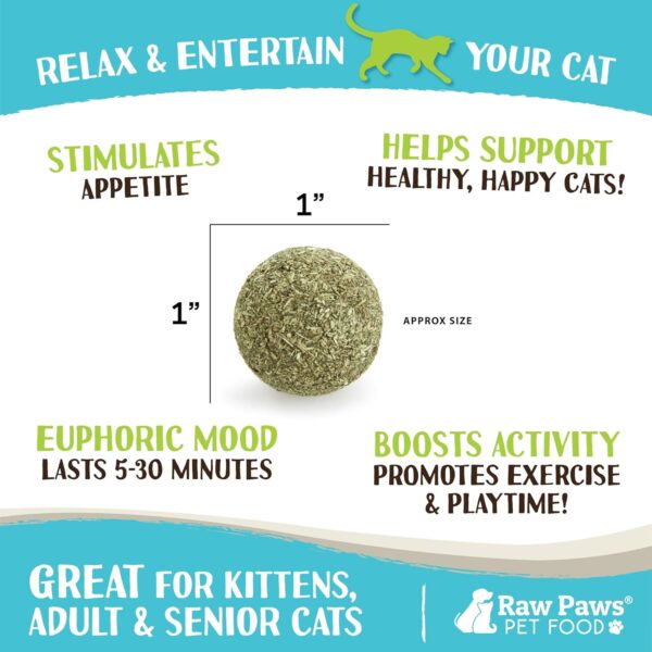 Raw Paws Catnip Balls for Cats, (6-Count) - Interactive Cat Toy for Indoor Cats - Cat Nip Licking Balls - Image 3