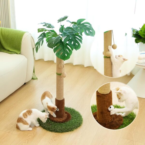Cat Scratching Post for Indoor Cats and Kitten - 35.43" Tall Cat Scratching Post with Sisal Rope,Palm Tree Cat Scratch Post with Hanging Ball - Image 3