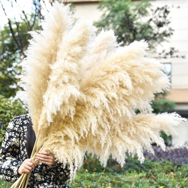 40" 11 PCS Dried Pampas Grass Decor Tall,Large Natural Beige pompas Grass,Tall Pampas Grass for Floor Vase,Wedding,Party,Farmhouse,Boho Home Decor,and Creating a Bohemian Ambiance - Image 4