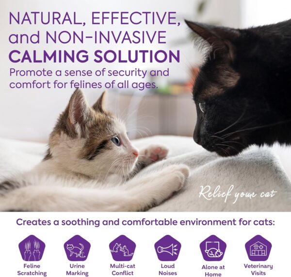 Cat Pheromones Calming Diffuser: Premium Pheromone Diffuser for Cats - Cat Pheromones Diffuser - Cat Calming Diffuser - Cat Calming Pheromone Diffuser, 2 Pack (Purple) - Image 2