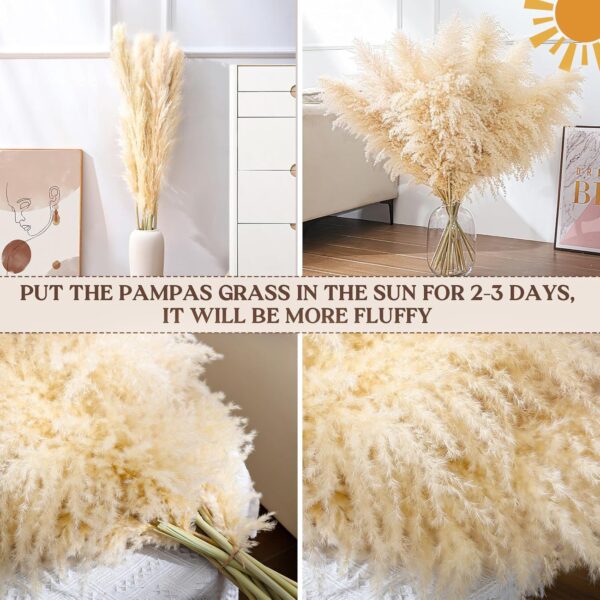 40" 11 PCS Dried Pampas Grass Decor Tall,Large Natural Beige pompas Grass,Tall Pampas Grass for Floor Vase,Wedding,Party,Farmhouse,Boho Home Decor,and Creating a Bohemian Ambiance - Image 6