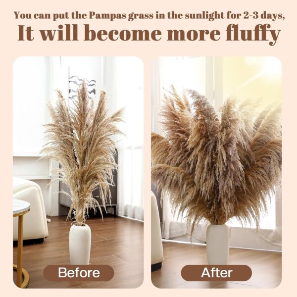 40" inch 11 Stems Natural Pampas Grass Tall Decor,Pompas Grass,Large Brown Tall Pampas Grass for Floor Vase,Wedding Decorations,Party,Boho Home Decor,and Creating a Boho Ambiance - Image 4