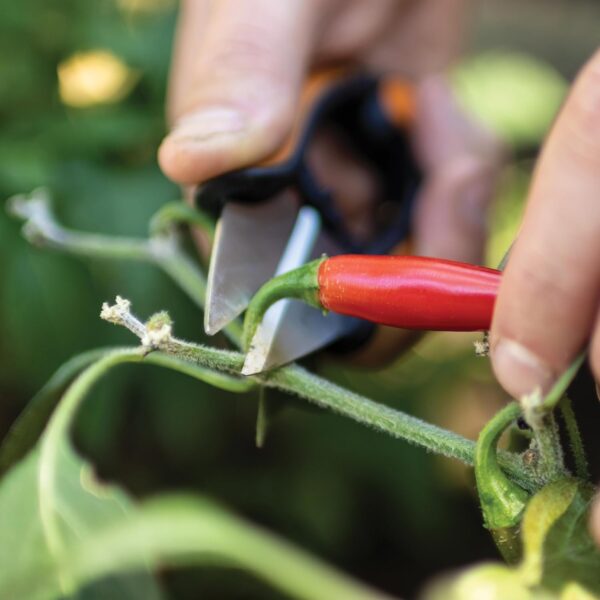 Fiskars Herb Garden Scissors, 5" Garden Shears, Handheld Herb Snips with Sheath and SoftGrip Handle, Dishwasher Safe - Image 5