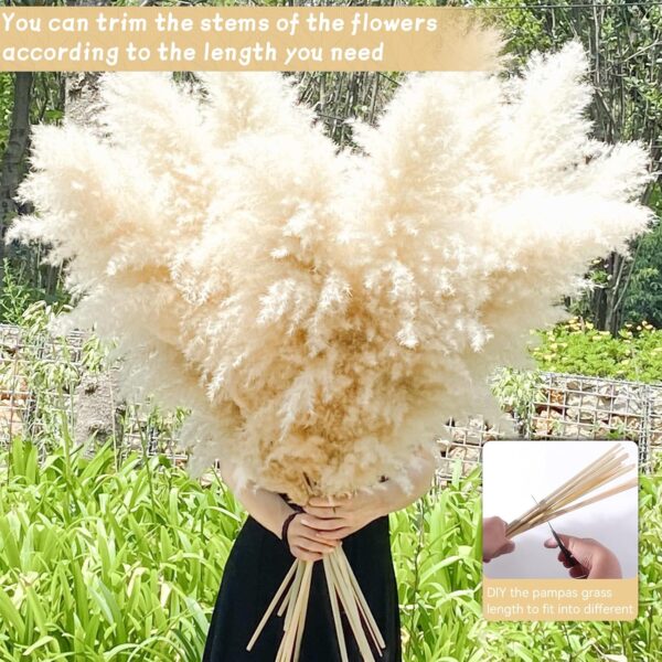 40" 33PCS Dried Pampas Grass Decor Tall,Large Natural Beige pompas Grass Tall Pampas Grass for Floor Vase,Wedding,Party,Farmhouse,Boho Home Decor,and Creating a Bohemian Ambiance - Image 3