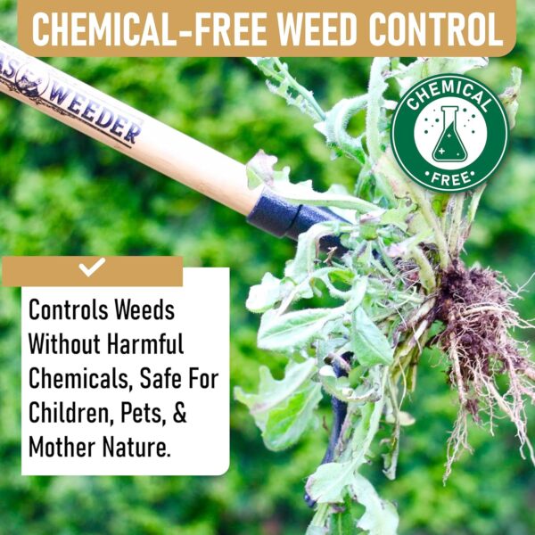 Grampa's Weeder - The Original Stand Up Weed Puller Tool with Long Handle - Made with Real Bamboo & 4-Claw Steel Head Design - Easily Remove Weeds Without Bending, Pulling, or Kneeling. - Image 4
