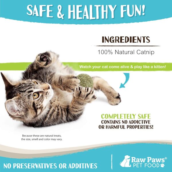 Raw Paws Catnip Balls for Cats, (6-Count) - Interactive Cat Toy for Indoor Cats - Cat Nip Licking Balls - Image 4