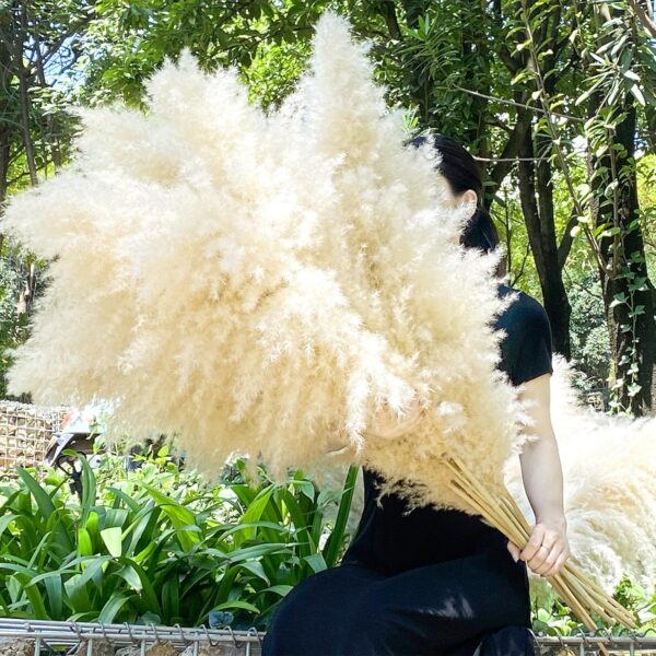 40" 33PCS Dried Pampas Grass Decor Tall,Large Natural Beige pompas Grass Tall Pampas Grass for Floor Vase,Wedding,Party,Farmhouse,Boho Home Decor,and Creating a Bohemian Ambiance - Image 4