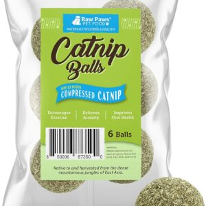 Raw Paws Catnip Balls for Cats, (6-Count) - Interactive Cat Toy for Indoor Cats - Cat Nip Licking Balls