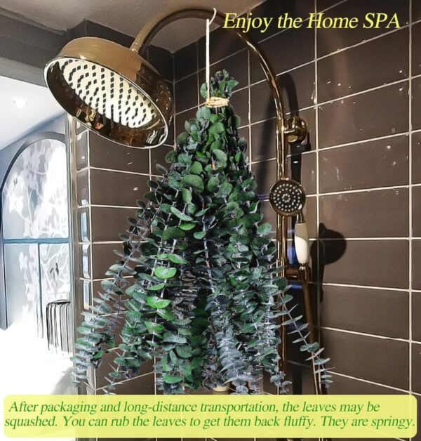 30 Pcs Dried Preserved Eucalyptus Stems Shower Bundle, 9oz 17" Natural Fresh Eucalyptus Plant, Real Leaves Branches for Shower Vase Filler, Dried Flowers Arrangement Home Decor - Image 4