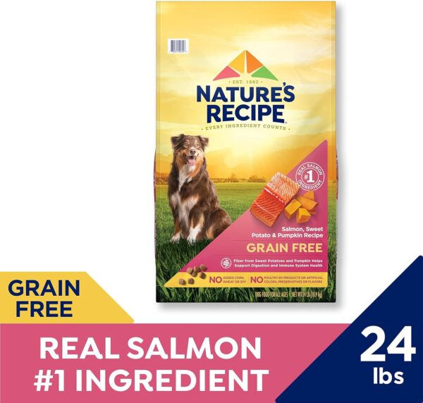 Nature’s Recipe Grain Free Salmon, Sweet Potato & Pumpkin Recipe Dry Dog Food, 24 lb. Bag - Image 4