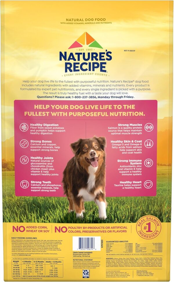 Nature’s Recipe Grain Free Salmon, Sweet Potato & Pumpkin Recipe Dry Dog Food, 24 lb. Bag - Image 3