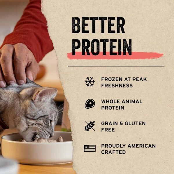 Vital Essentials Minnows Cat Treats, 0.5 oz | Freeze-Dried Raw | Single Ingredient | Grain Free, Gluten Free, Filler Free - Image 5