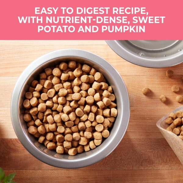 Nature’s Recipe Grain Free Salmon, Sweet Potato & Pumpkin Recipe Dry Dog Food, 24 lb. Bag - Image 6