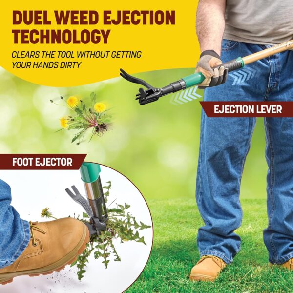 Papa's Tools Weed Puller Tool, 44" Stand Up Weeder Garden Tools & 4 Claw Steel Head, Dual Weed Eject Tech. Made With Real Bamboo & Long Wooden Handle, Yard Weeding Remover For Gardening Men & Women - Image 2