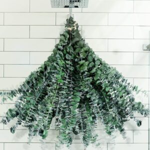 30 Pcs Dried Preserved Eucalyptus Stems Shower Bundle, 9oz 17" Natural Fresh Eucalyptus Plant, Real Leaves Branches for Shower Vase Filler, Dried Flowers Arrangement Home Decor