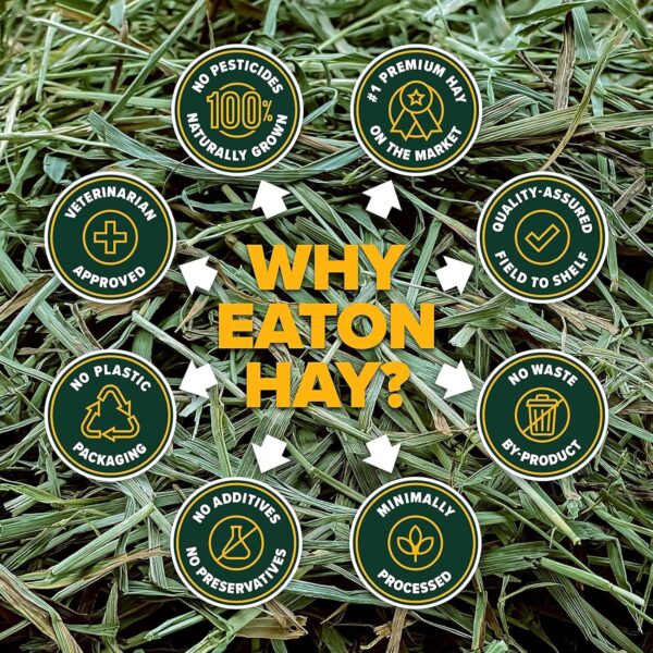 Eaton Pet and Pasture Naturally Grown, Premium, 1st Cut Blend, Western Timothy Hay Orchard Blend, Small Animal Food, Sustainable, Eco-Friendly, Farmer-Owned, 6LB-Box. - Image 5