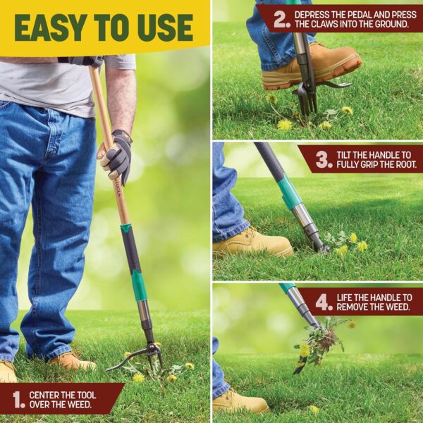 Papa's Tools Weed Puller Tool, 44" Stand Up Weeder Garden Tools & 4 Claw Steel Head, Dual Weed Eject Tech. Made With Real Bamboo & Long Wooden Handle, Yard Weeding Remover For Gardening Men & Women - Image 3